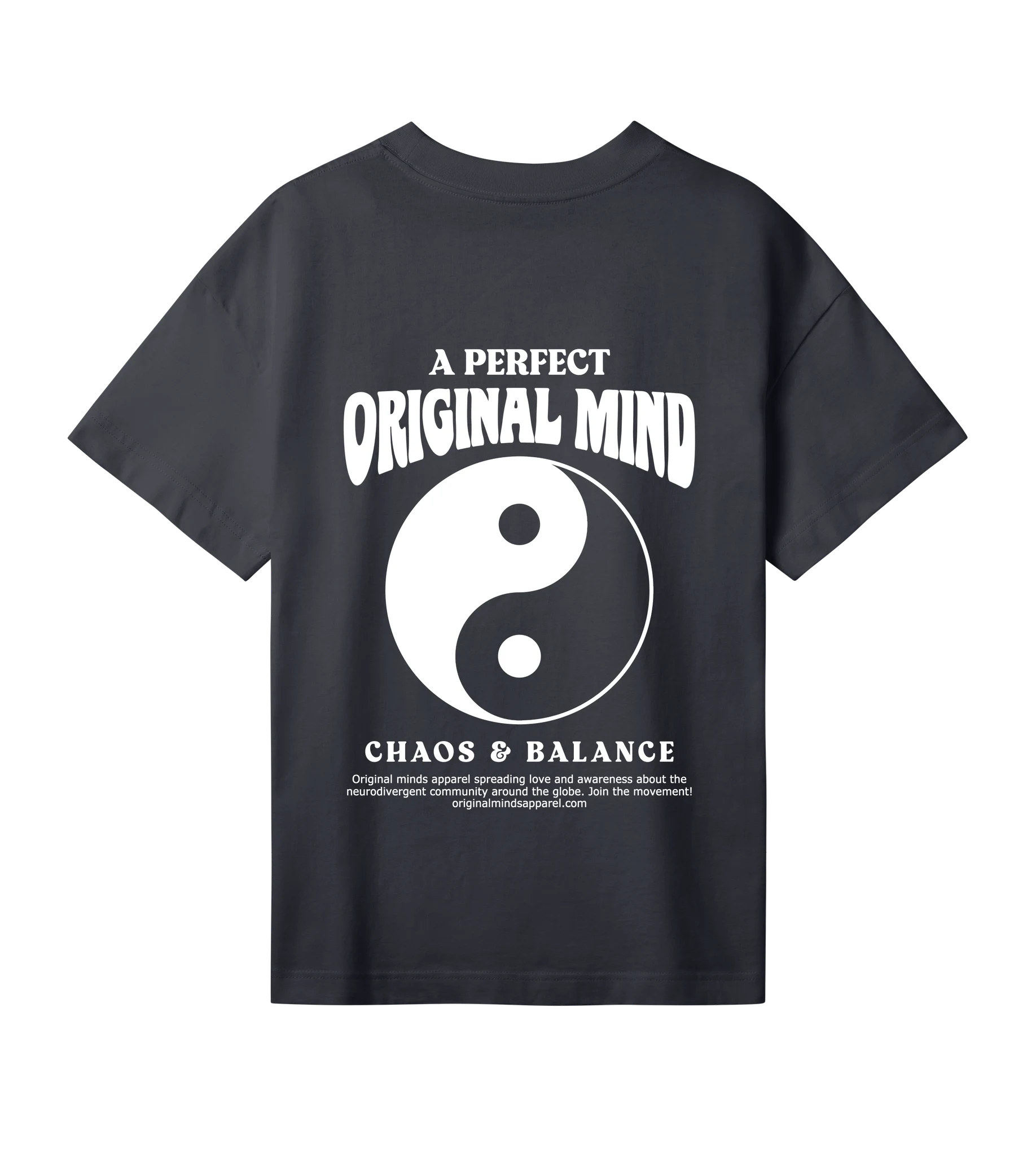 A Perfect Original Mind - Women’s T-shirt oversized fit — back